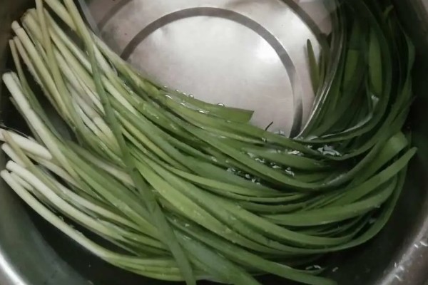 韭菜去除农药残留的方法,以下四种方式都可以洗净残留的药物