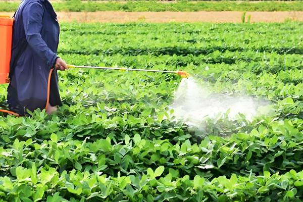 黄腐酸与腐植酸的区别，其作用与应对对象均不同