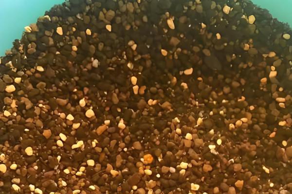 仙人球根部腐烂的原因，可能是土壤不通风导致的