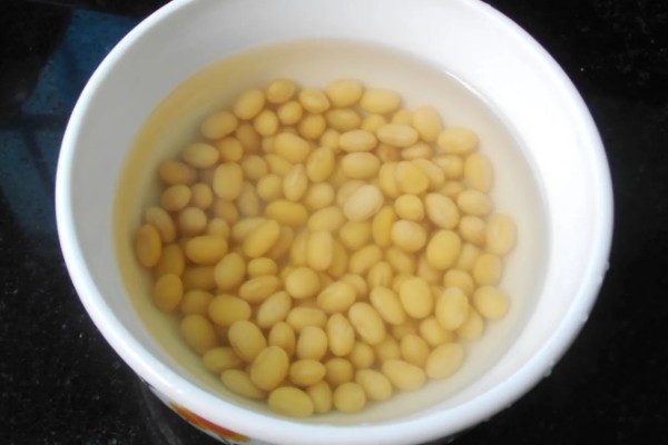 芽苗菜的育苗方法,播种前需浸种