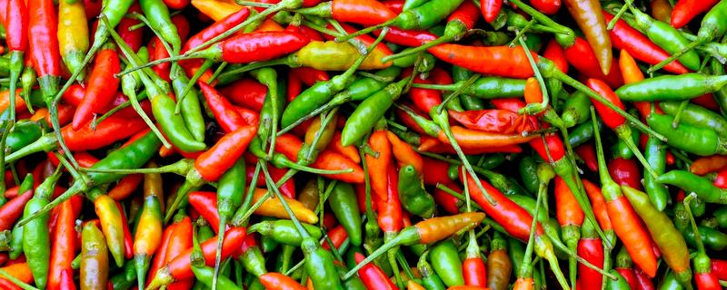辣椒有哪几种,常见的小米椒、朝天椒等