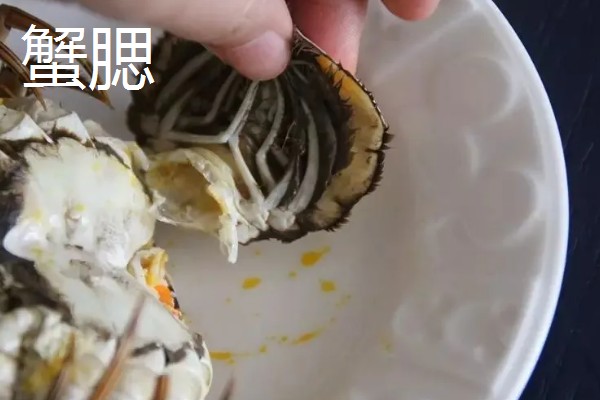 哪些螃蟹有毒禁止食用，毒鳞斑蟹、铜铸熟若蟹等品种有带有毒性
