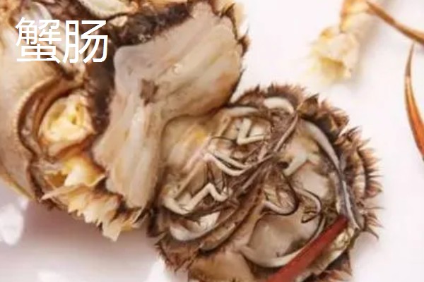 哪些螃蟹有毒禁止食用，毒鳞斑蟹、铜铸熟若蟹等品种有带有毒性