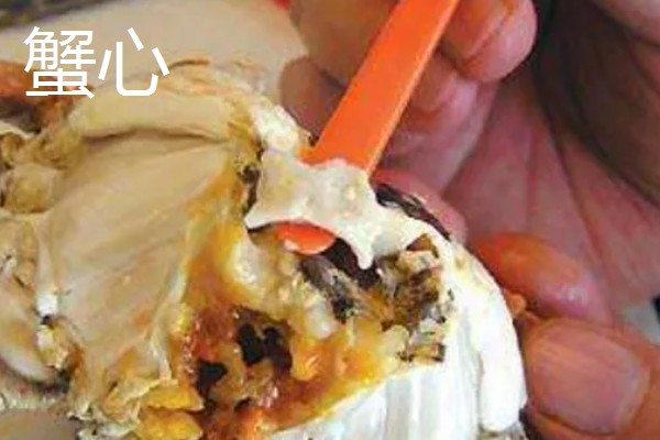 哪些螃蟹有毒禁止食用，毒鳞斑蟹、铜铸熟若蟹等品种有带有毒性