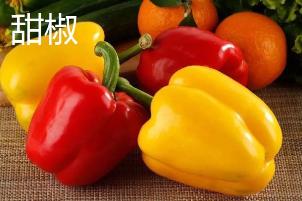 辣椒有哪几种，常见的小米椒、朝天椒等