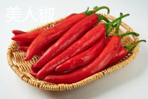 辣椒有哪几种，常见的小米椒、朝天椒等