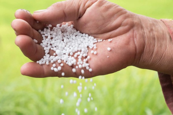 使用复合肥要注意什么，冬季应该少施、勤施