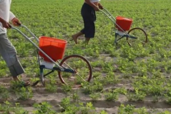 使用复合肥要注意什么，冬季应该少施、勤施