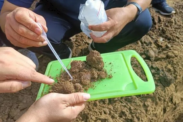 使用复合肥要注意什么，冬季应该少施、勤施