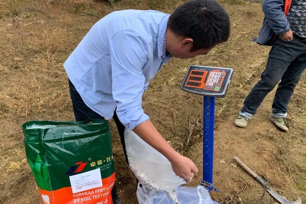 使用复合肥要注意什么，冬季应该少施、勤施