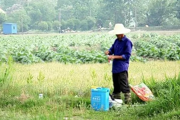 使用复合肥要注意什么，冬季应该少施、勤施