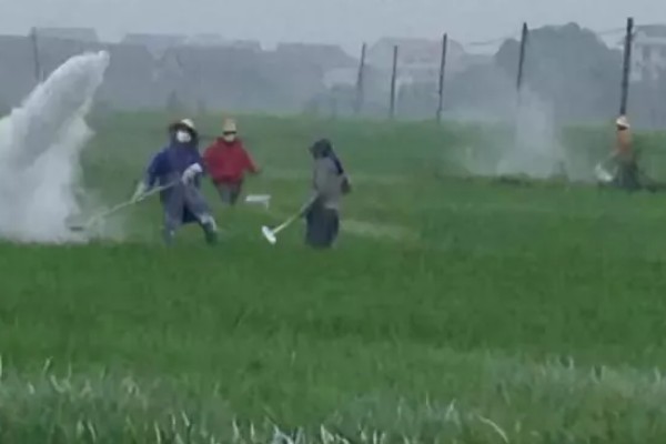 一亩地可以养多少稻花鱼，可以养7000斤到1000斤