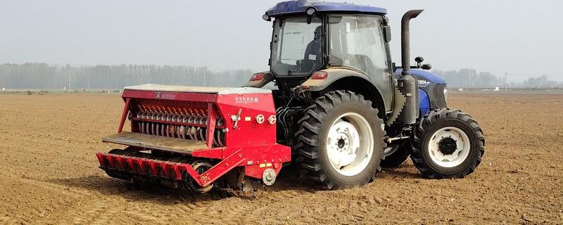 11月种小麦种子的亩用量,每亩18-30斤即可