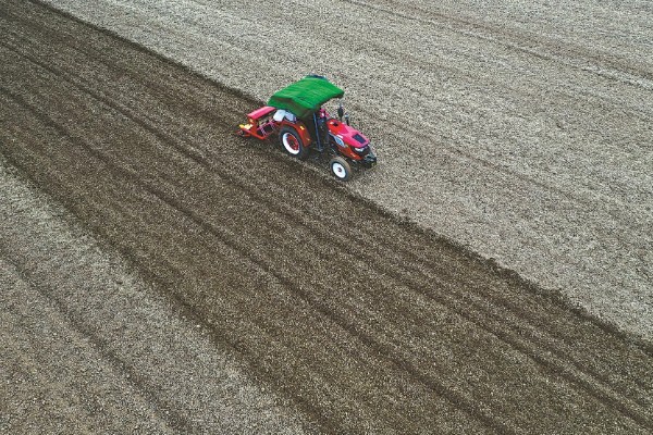 11月种小麦种子的亩用量，每亩18-30斤即可