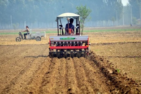 11月种小麦种子的亩用量，每亩18-30斤即可