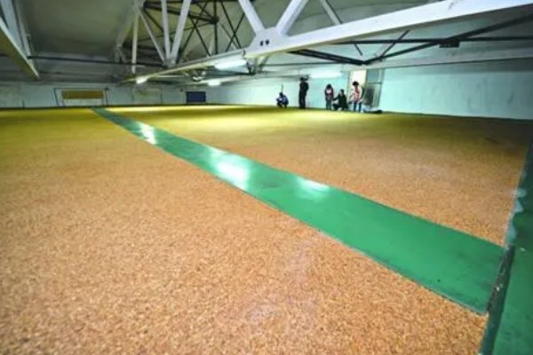 11月种小麦种子的亩用量，每亩18-30斤即可