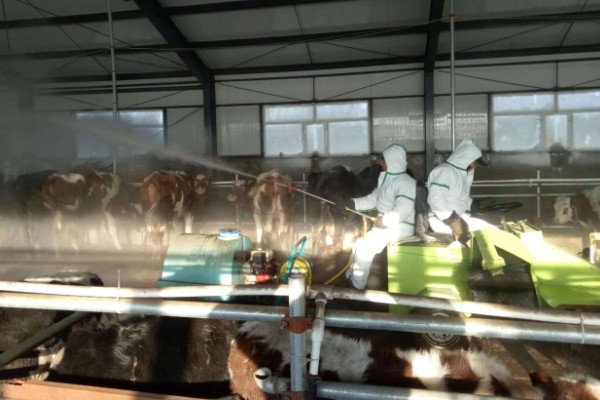 牛炭疽病的发生原因，牛炭疽病由炭疽杆菌所引起