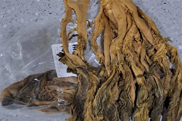 广东省东源县的特产，东源板栗属于栗中极品