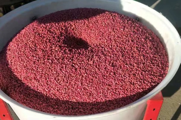 对小麦根外追肥的方法，叶色发黄、脱肥早衰的麦田要喷施氮素化肥