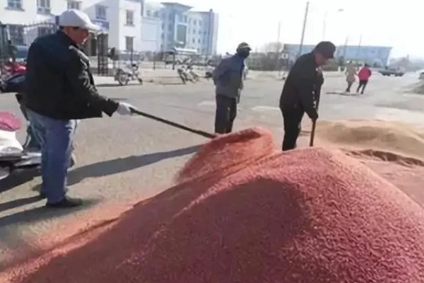 对小麦根外追肥的方法，叶色发黄、脱肥早衰的麦田要喷施氮素化肥