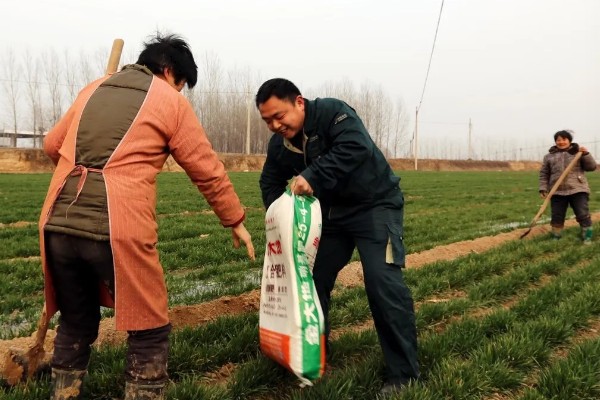 对小麦根外追肥的方法，叶色发黄、脱肥早衰的麦田要喷施氮素化肥
