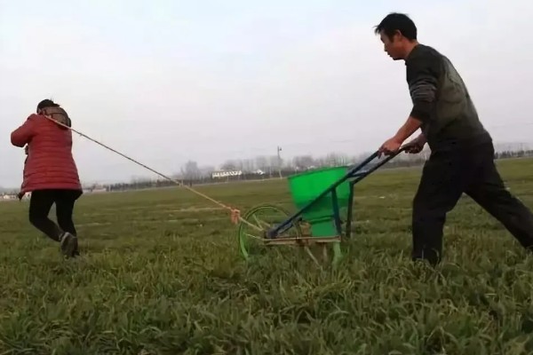 对小麦根外追肥的方法，叶色发黄、脱肥早衰的麦田要喷施氮素化肥