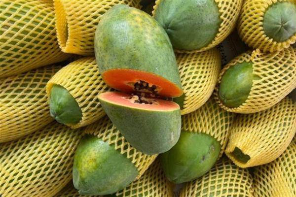 木瓜如何防止氧化,常温下把木瓜用报纸包严实