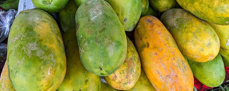 木瓜如何防止氧化,常温下把木瓜用报纸包严实