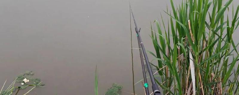 鱼竿5h和6h有没有区别，适用场合不同