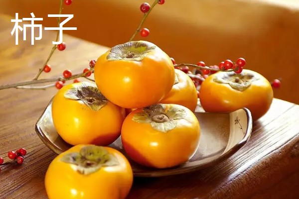 猫不能吃哪些水果，葡萄、柿子等水果不能饲喂