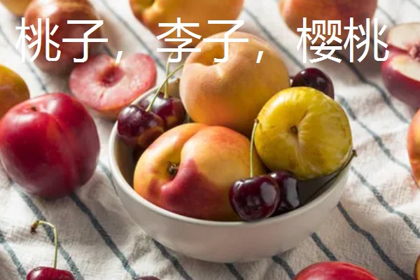 猫不能吃哪些水果，葡萄、柿子等水果不能饲喂