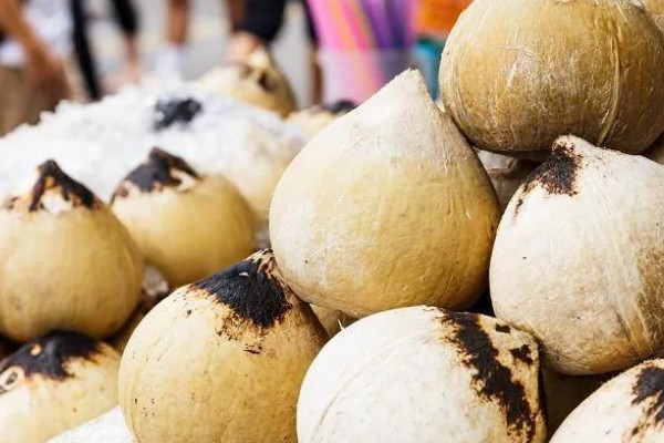 椰子怎么开，可以拿刀背在椰子的硬壳上敲几下