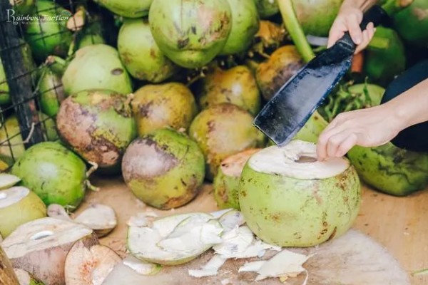 椰子怎么开，可以拿刀背在椰子的硬壳上敲几下
