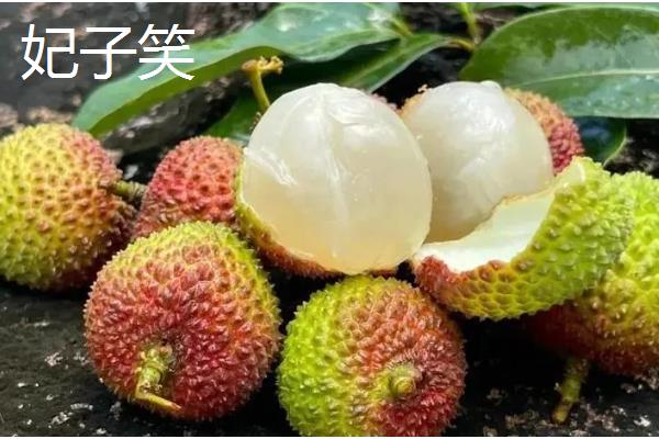 优质的荔枝品种，有妃子笑、鸡嘴荔等