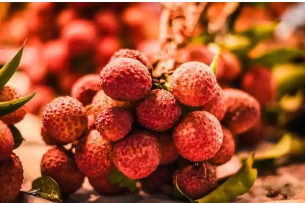 优质的荔枝品种，有妃子笑、鸡嘴荔等