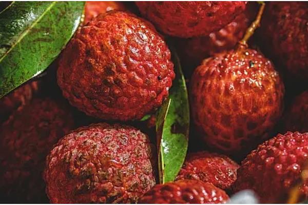 优质的荔枝品种，有妃子笑、鸡嘴荔等