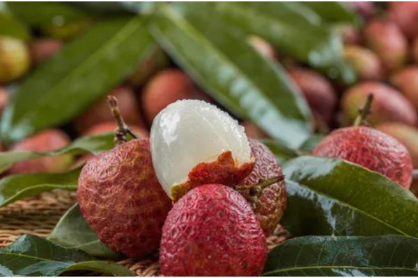 优质的荔枝品种，有妃子笑、鸡嘴荔等