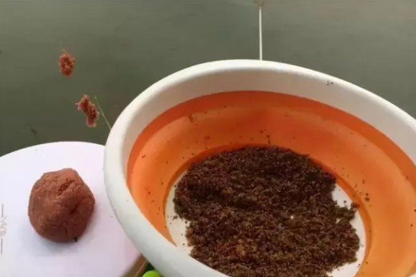 野生龙虾喜欢吃什么饵，喜欢吃蚯蚓、田螺等