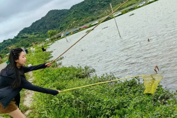 野生龙虾喜欢吃什么饵，喜欢吃蚯蚓、田螺等