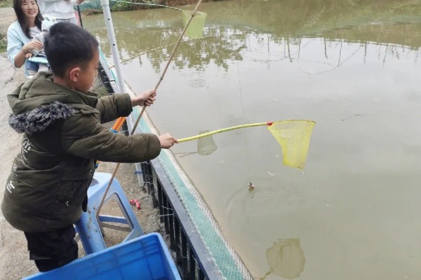 野生龙虾喜欢吃什么饵，喜欢吃蚯蚓、田螺等
