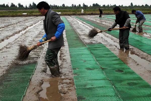 夏季有什么农活，7月份要注意对大棚蔬菜通风降温