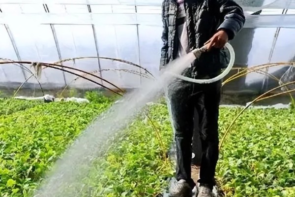 夏季有什么农活，7月份要注意对大棚蔬菜通风降温