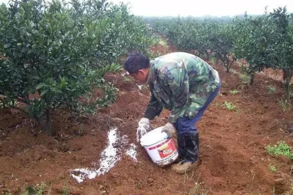 夏季有什么农活，7月份要注意对大棚蔬菜通风降温