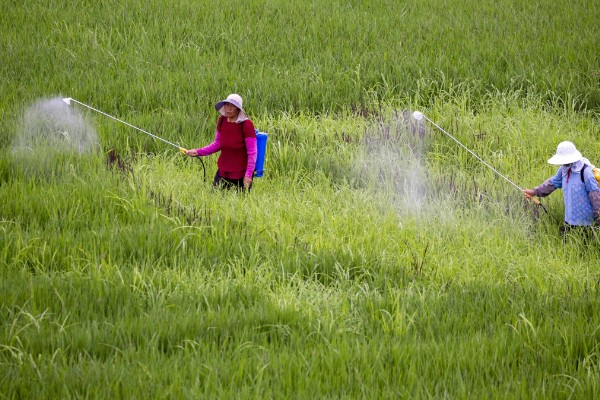 夏季有什么农活，7月份要注意对大棚蔬菜通风降温