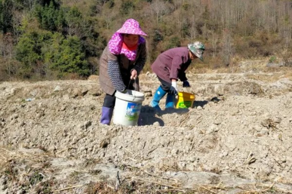 夏季有什么农活，7月份要注意对大棚蔬菜通风降温