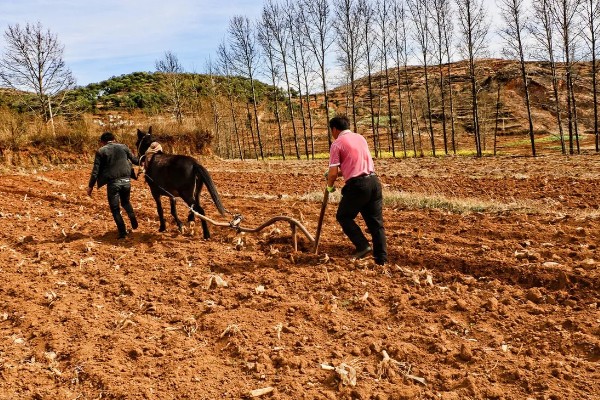 夏季有什么农活，7月份要注意对大棚蔬菜通风降温