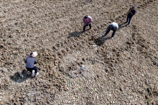 夏季有什么农活，7月份要注意对大棚蔬菜通风降温