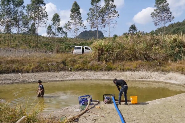 怎么养鳗鱼，入池前用生石灰对池塘做消毒处理