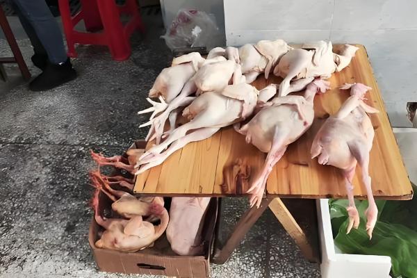 农村养鸡该往哪里销，可批发给菜市场