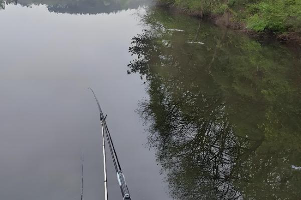 蚯蚓钓鱼效果好不好，效果较好